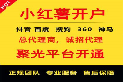百度竞价广告与自然搜索排名的结合策略案例